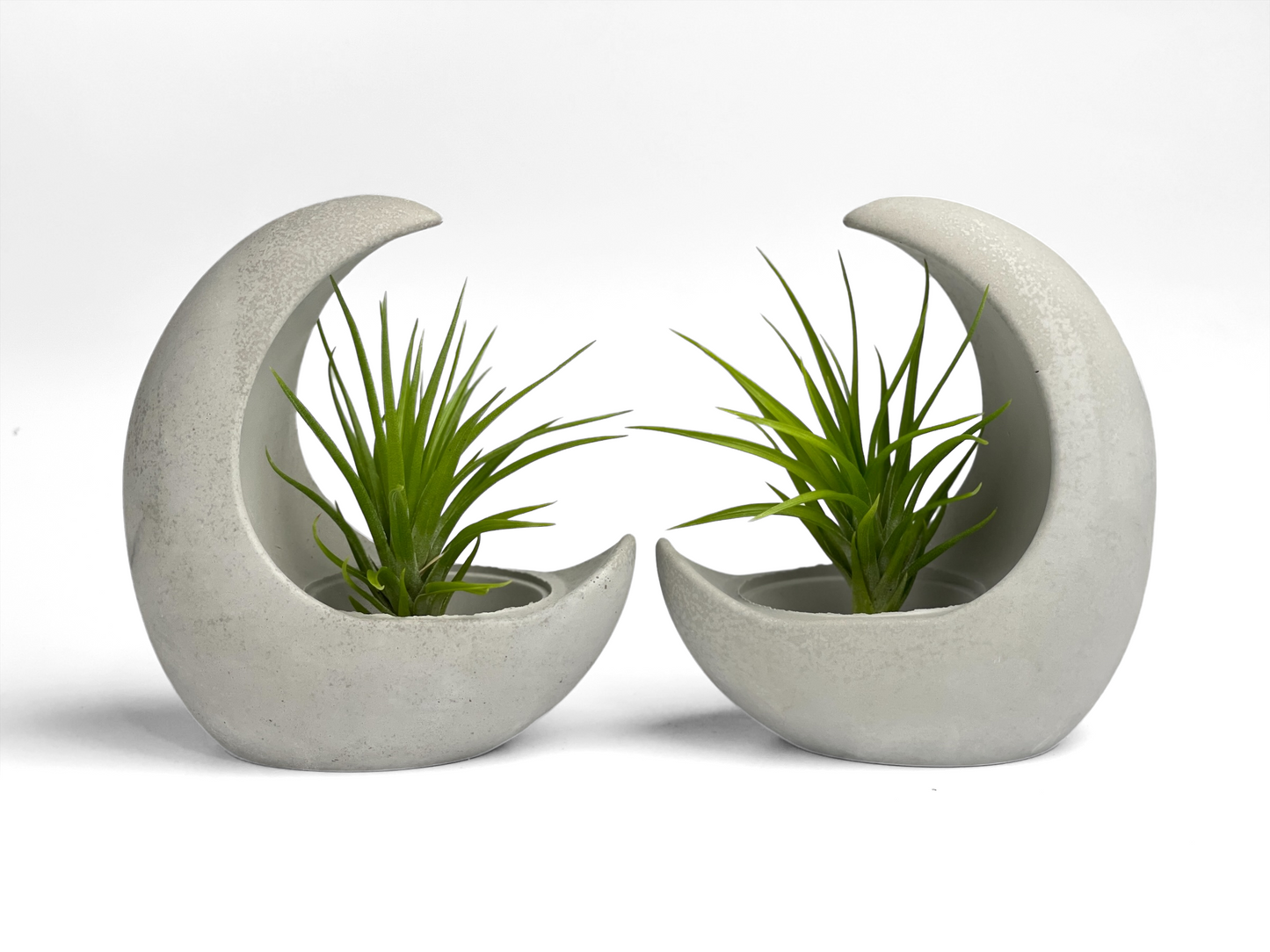 YOUNG MOON AIR PLANT HOLDER – Planter
