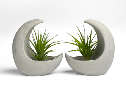 YOUNG MOON AIR PLANT HOLDER – Planter