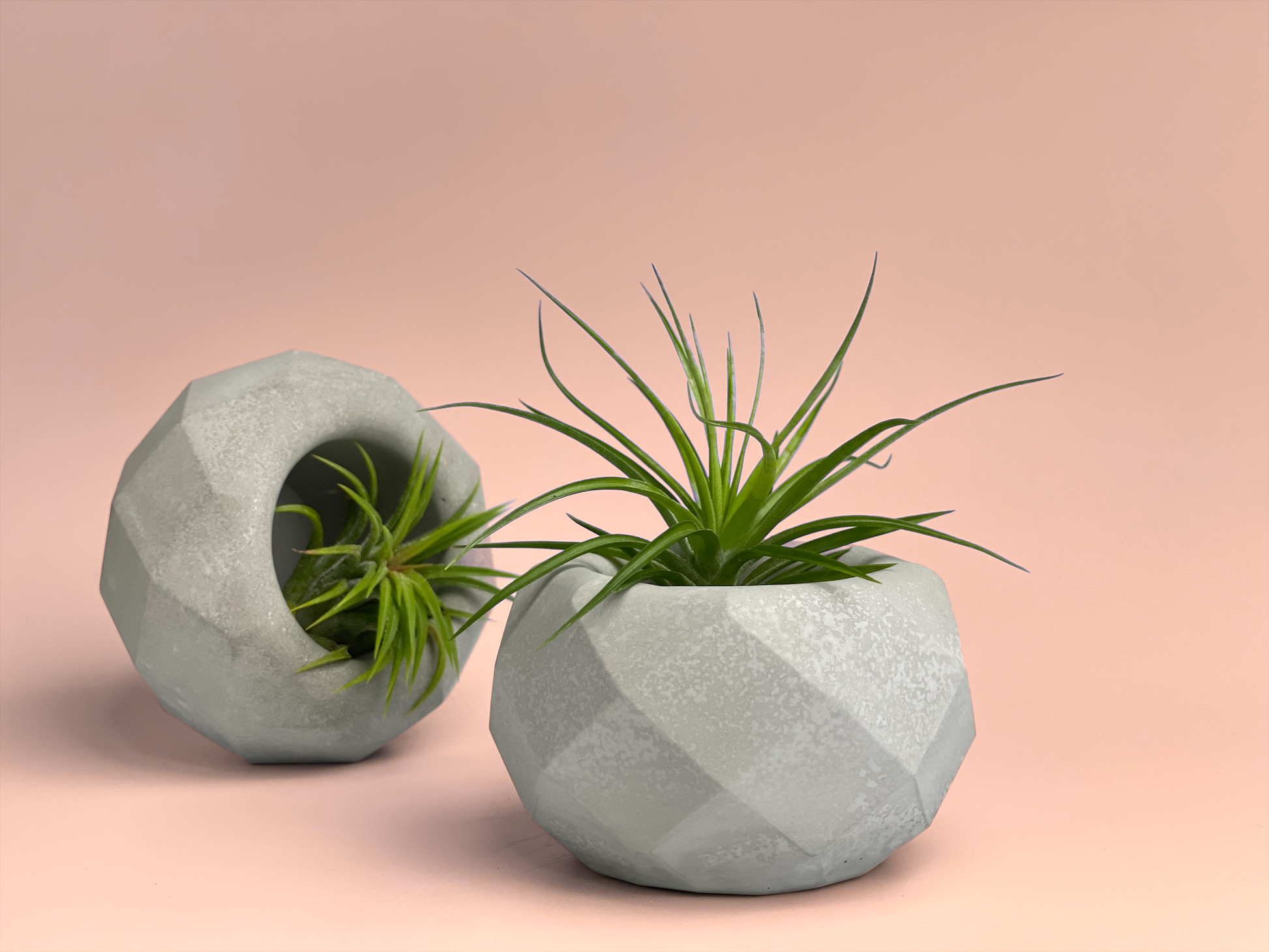 Geometric Air Plant Holder – Planter
