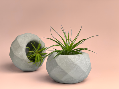 Geometric Air Plant Holder – Planter