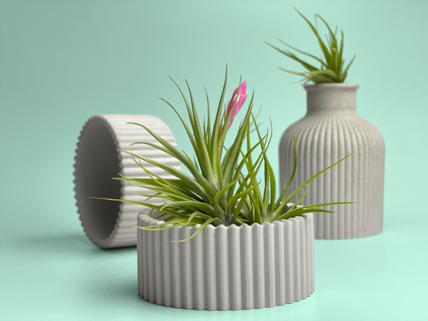 Scandinavian Air Plant Holder | Succulent Planter – Planter