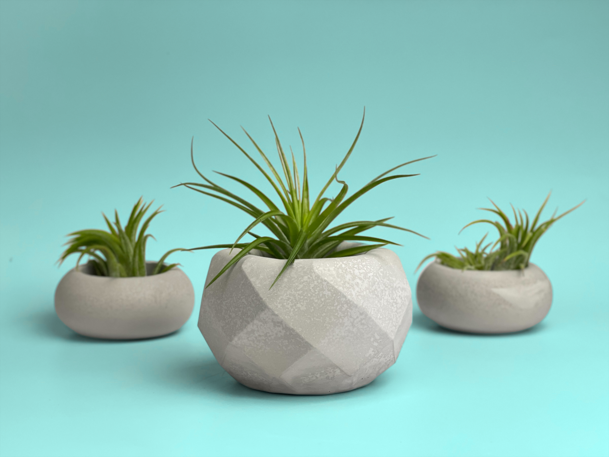 Geometric Air Plant Holder – Planter