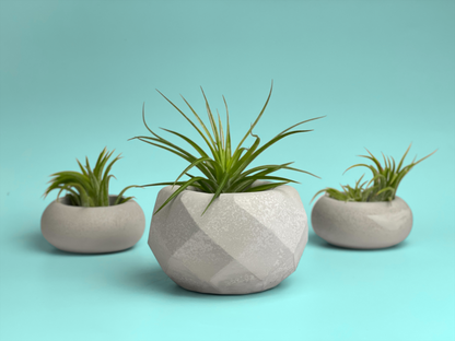 Geometric Air Plant Holder – Planter