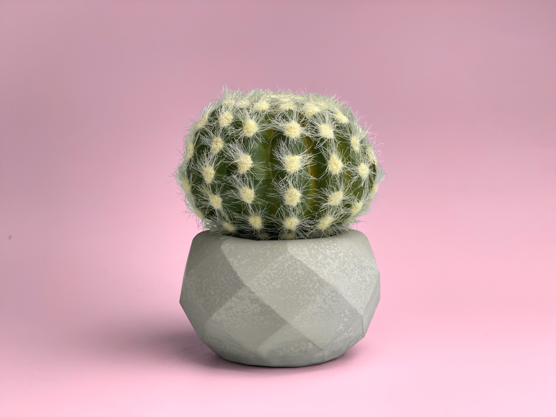Geometric Air Plant Holder – Planter