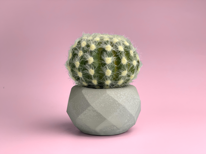 Geometric Air Plant Holder – Planter