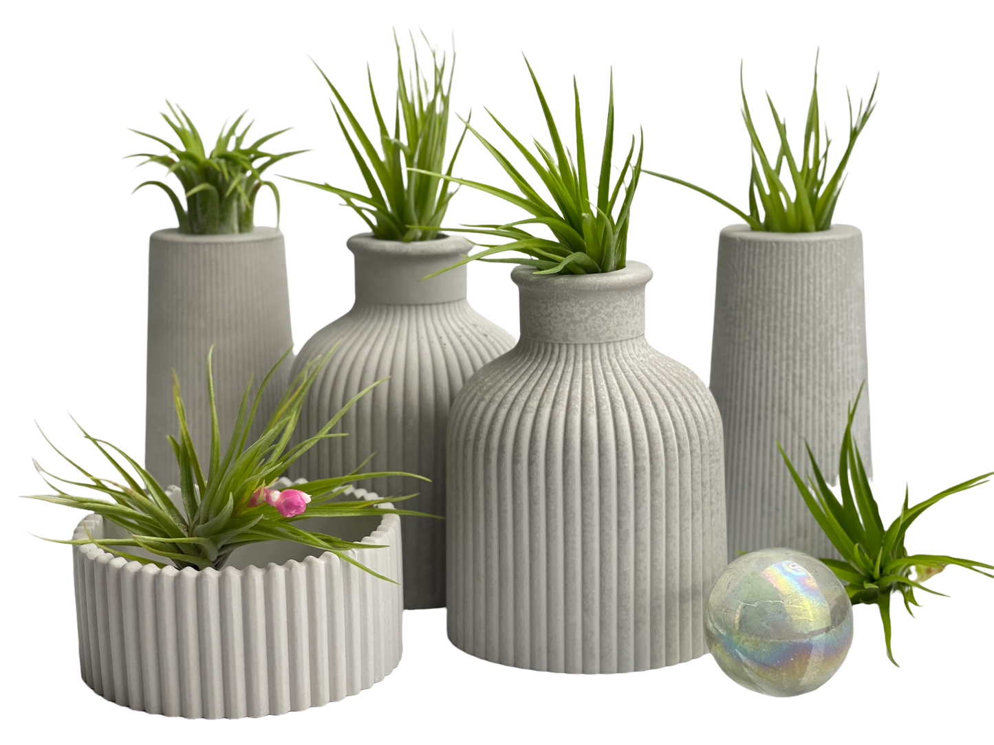 FAT MINI VASE | AIR PLANT HOLDER – Planter
