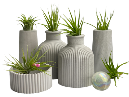 FAT MINI VASE | AIR PLANT HOLDER – Planter