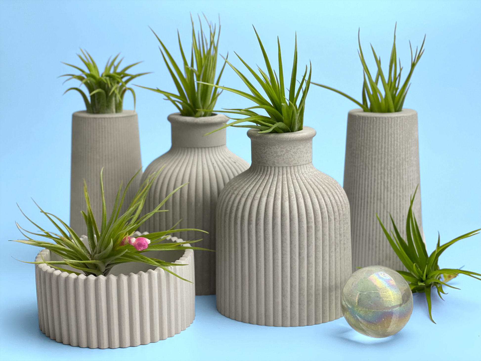 FAT MINI VASE | AIR PLANT HOLDER – Planter