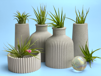 FAT MINI VASE | AIR PLANT HOLDER – Planter