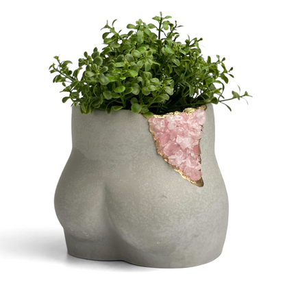 Rose Quartz Butt Planter – Planter