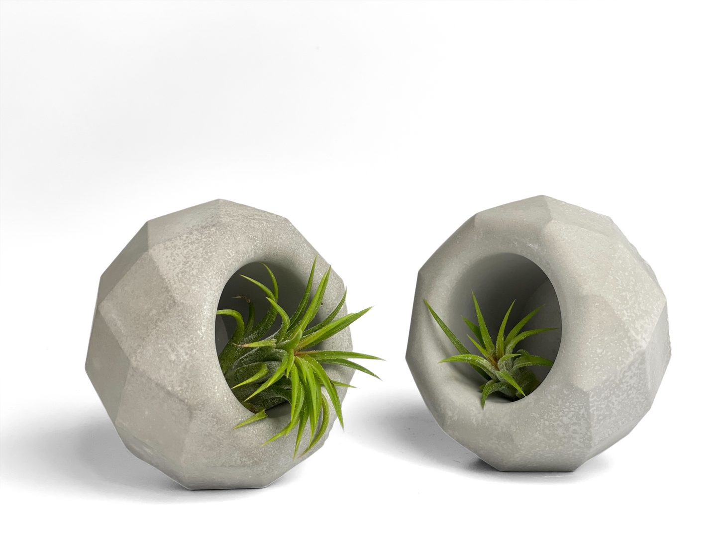 Geometric Air Plant Holder – Planter