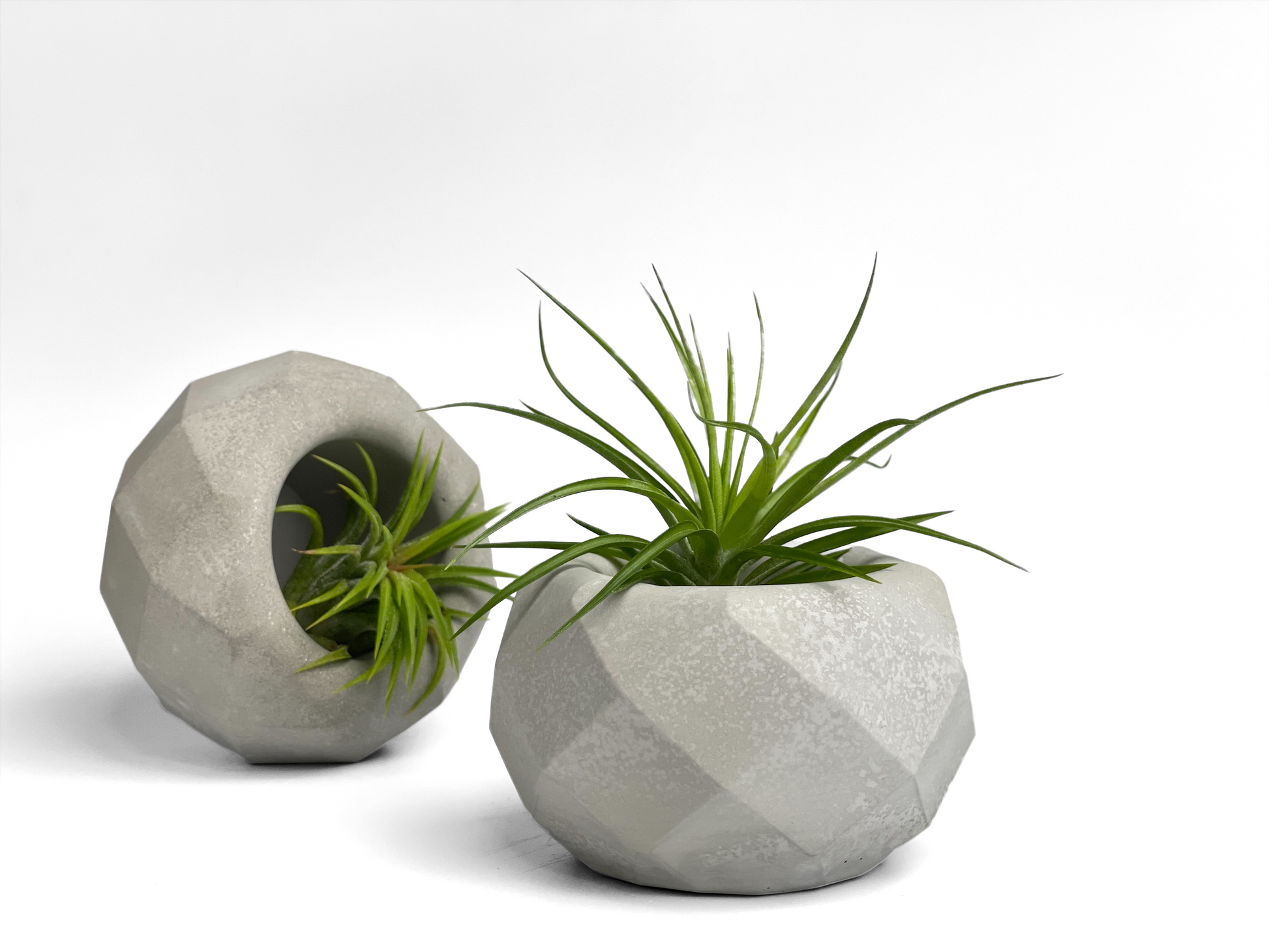 Geometric Air Plant Holder – Planter