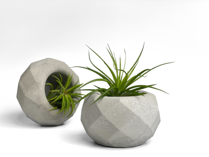 Geometric Air Plant Holder – Planter