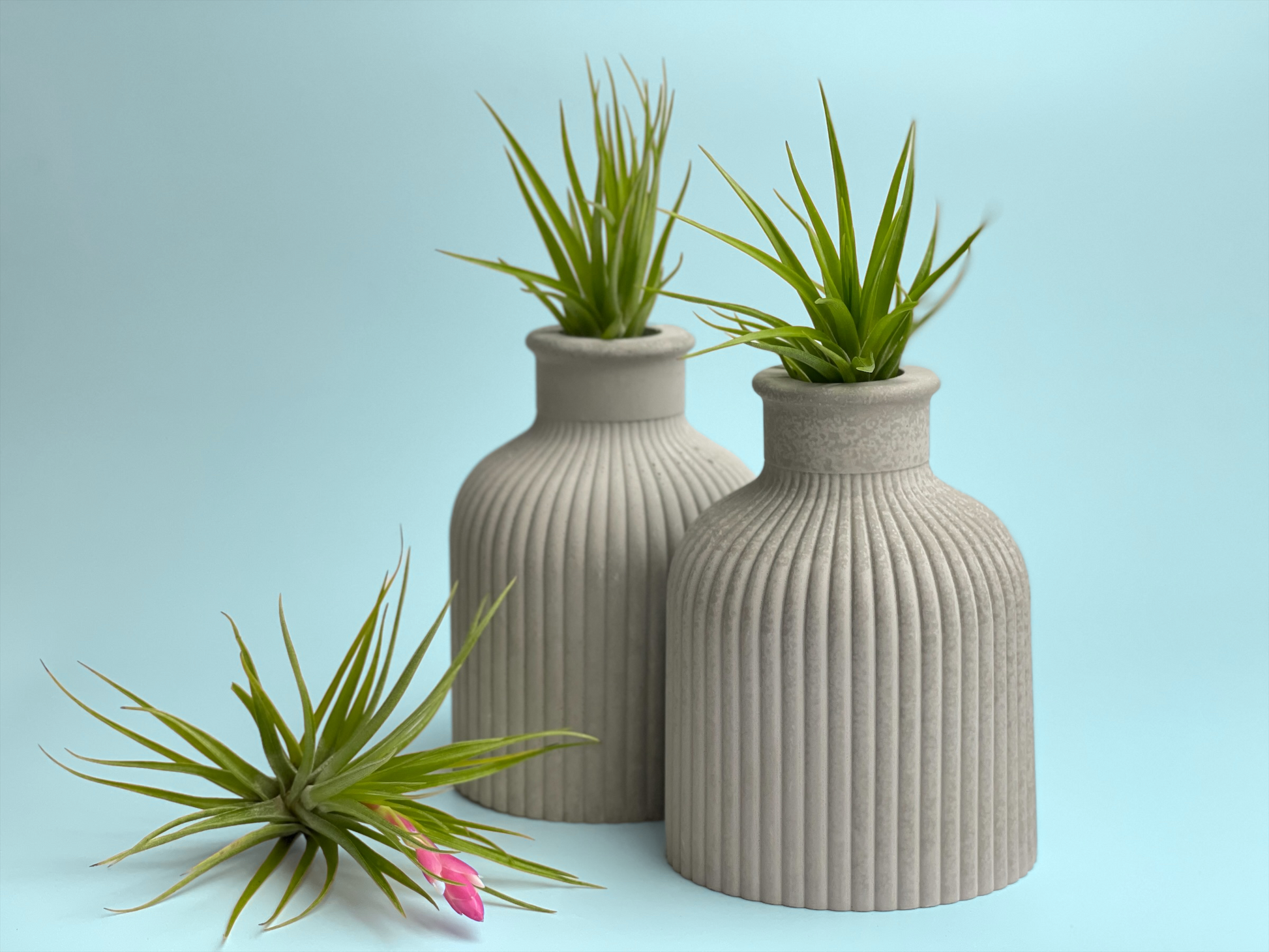 FAT MINI VASE | AIR PLANT HOLDER – Planter