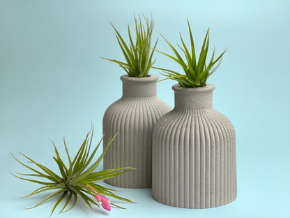 FAT MINI VASE | AIR PLANT HOLDER – Planter