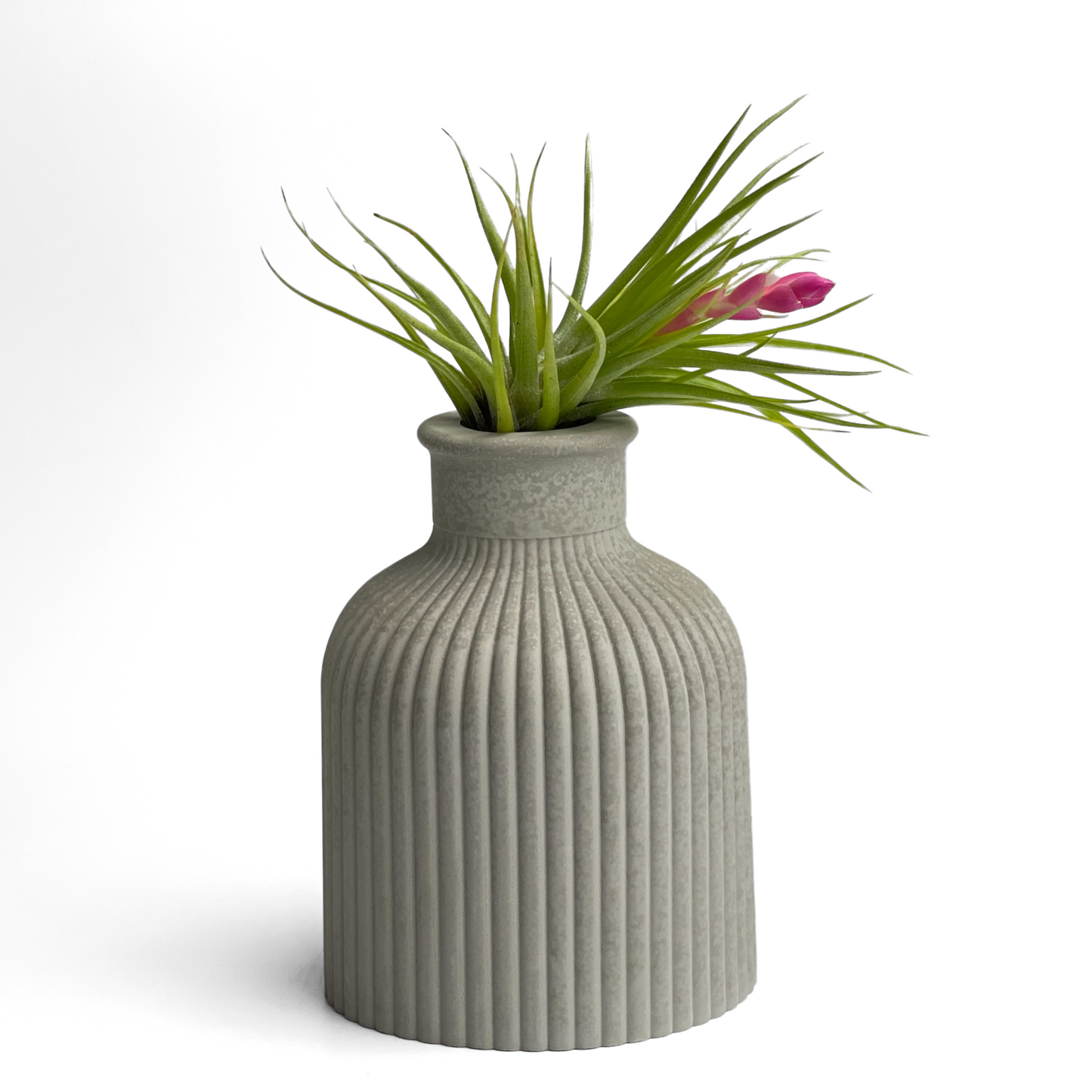 FAT MINI VASE | AIR PLANT HOLDER – Planter