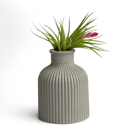 FAT MINI VASE | AIR PLANT HOLDER – Planter