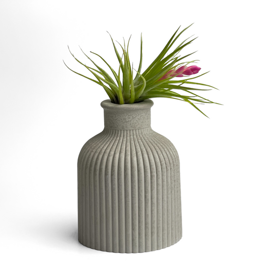 FAT MINI VASE | AIR PLANT HOLDER – Planter