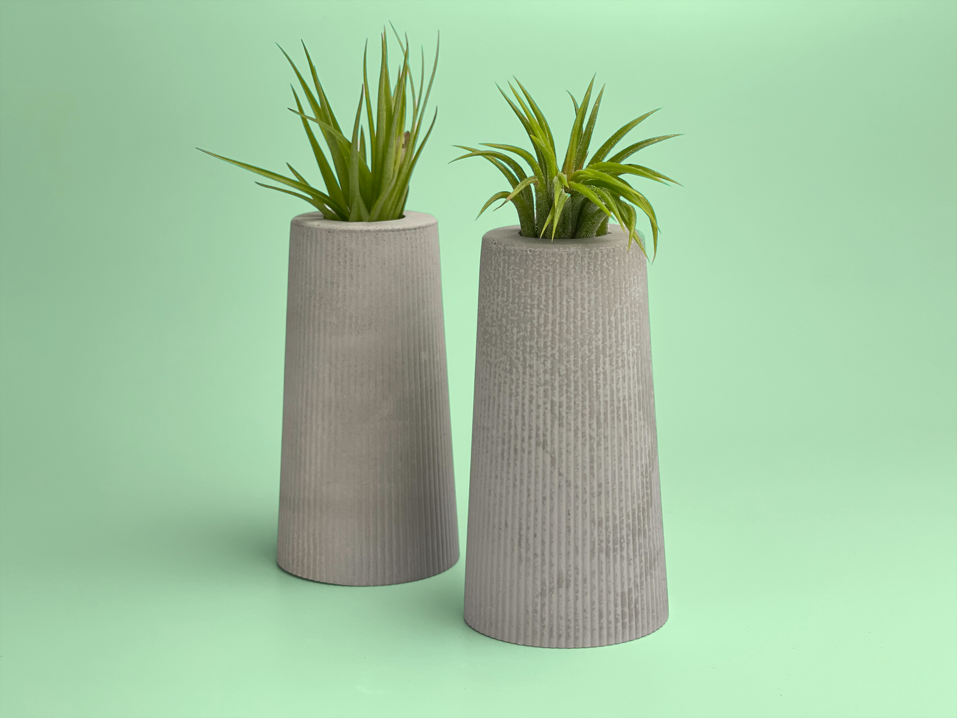 FAT MINI VASE | AIR PLANT HOLDER – Planter