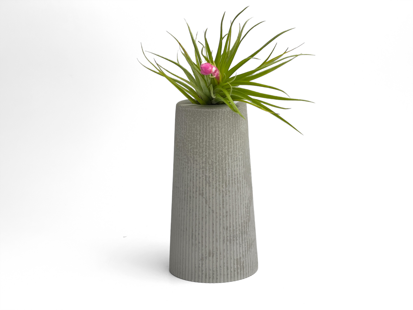 FAT MINI VASE | AIR PLANT HOLDER – Planter