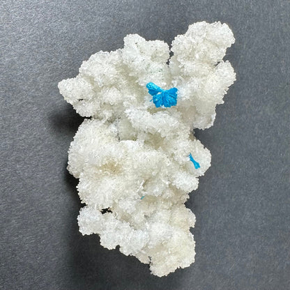 Cavansite Ball 'Floater' on White Stilbite (LG) from Pune, India – Minerals
