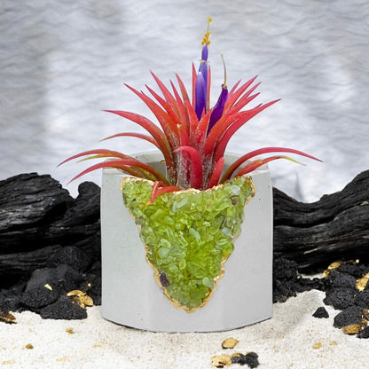 GREEN PERIDOT GEODE PLANTER – Small Geode Planter