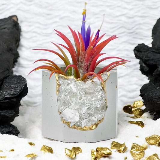 Raw CLEAR QUARTZ GEODE PLANTER – Small Geode Planter