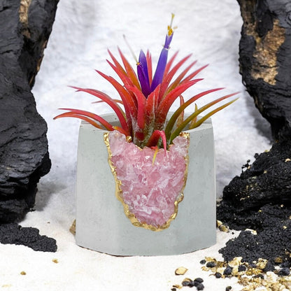 ROSE QUARTZ GEODE PLANTER – Small Geode Planter