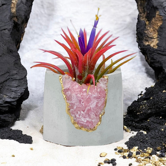 ROSE QUARTZ GEODE PLANTER – Small Geode Planter