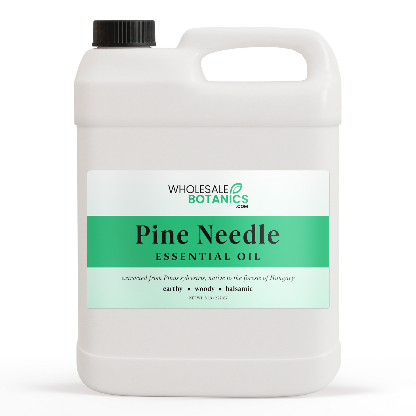 Pine Needle Essential Oil – 5 lbs Essential_Oil