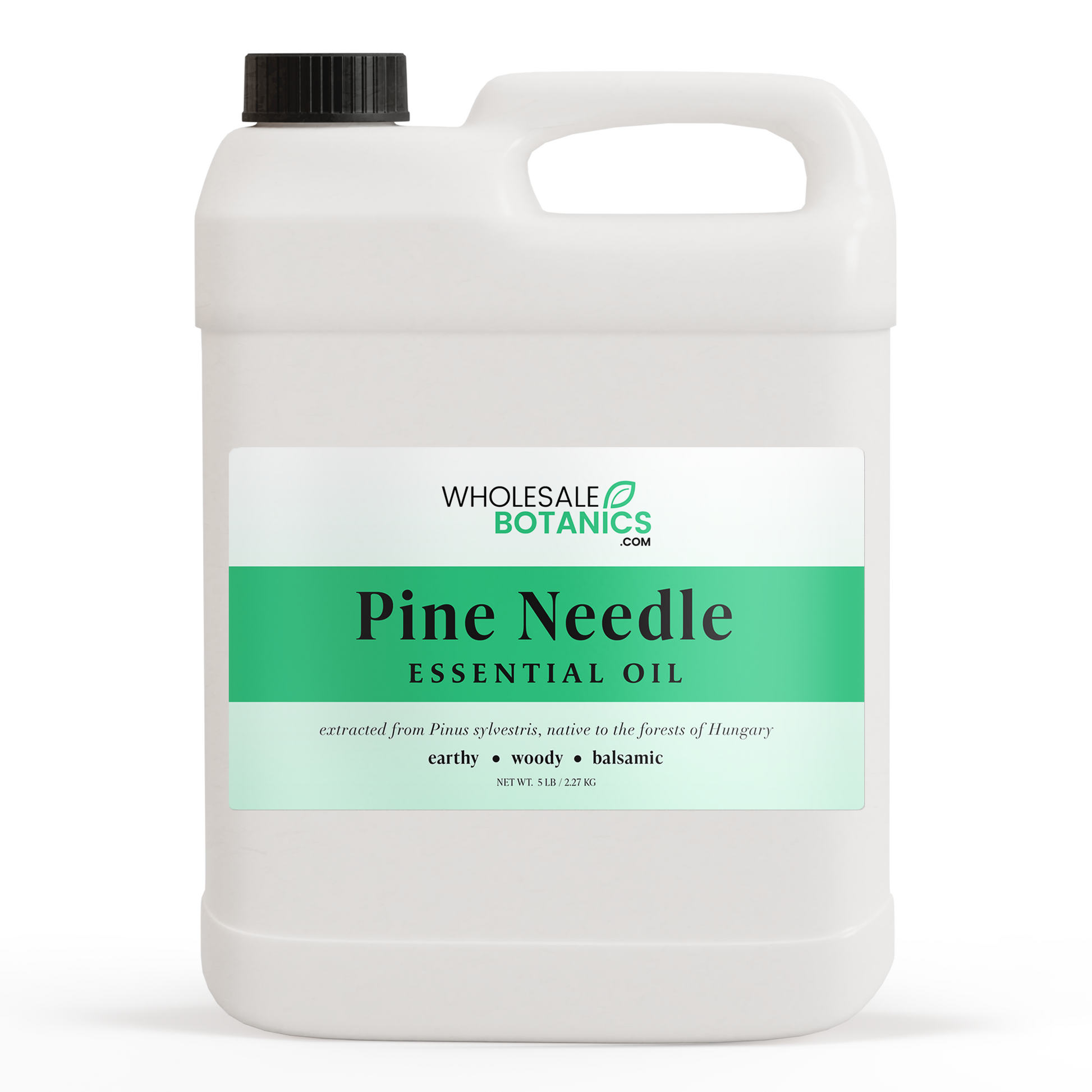 Pine Needle Essential Oil – 5 lbs Essential_Oil