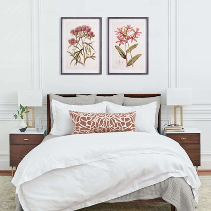Pink Vintage Botanical Floral Prints - Framed Wall Art Set of 2 – Artwork