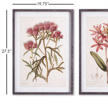 Pink Vintage Botanical Floral Prints - Framed Wall Art Set of 2 – Artwork