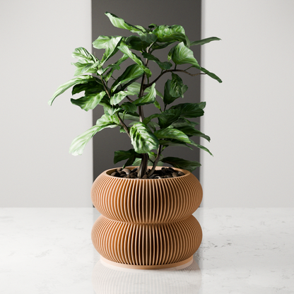 Double BUBBLES Planter – Natural Wood Planter