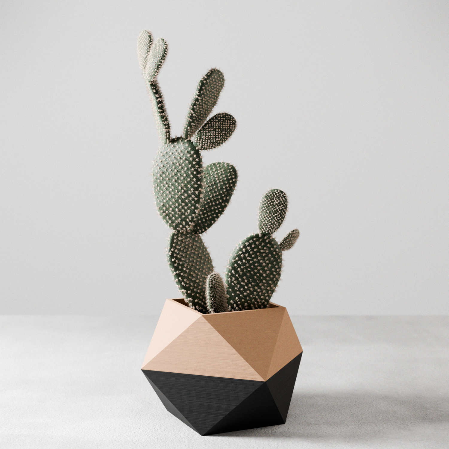 ICO Planter – Natural Wood & Midnight Black Planter