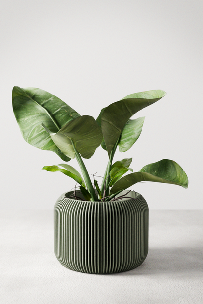 Orbis Planter – Planter