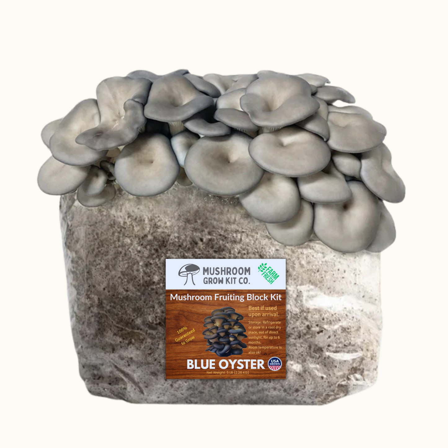 3 Pack - Premium Lion's Mane, Pink, and Blue Oyster Mushroom Fruiting Block Grow Kits - 15 LBS