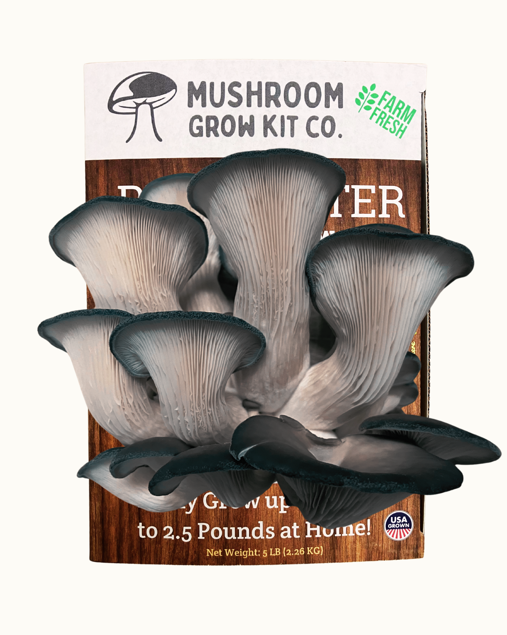 Premium Blue Oyster Mushroom Growing Kit - 5 LBS – Oyster Mushrooms
