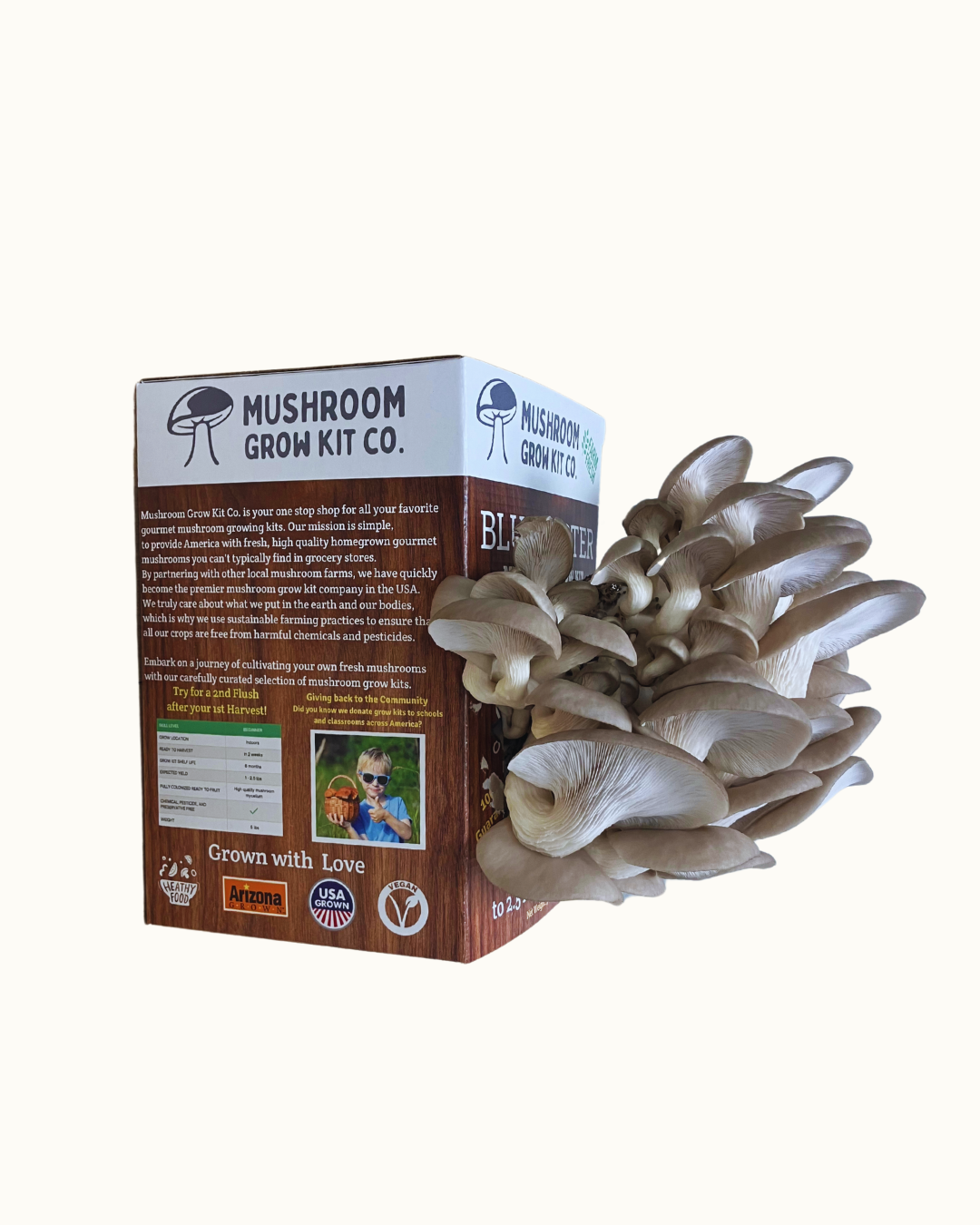 Premium Blue Oyster Mushroom Growing Kit - 5 LBS – Oyster Mushrooms