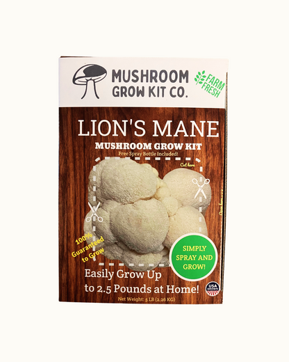 Premium Lion's Mane Mushroom Growing Kit - 5 LBS – Lion's Mane