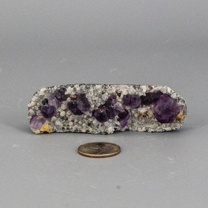 Purple Fluorite Cubes on Calcite "Nubbies" – Clusters