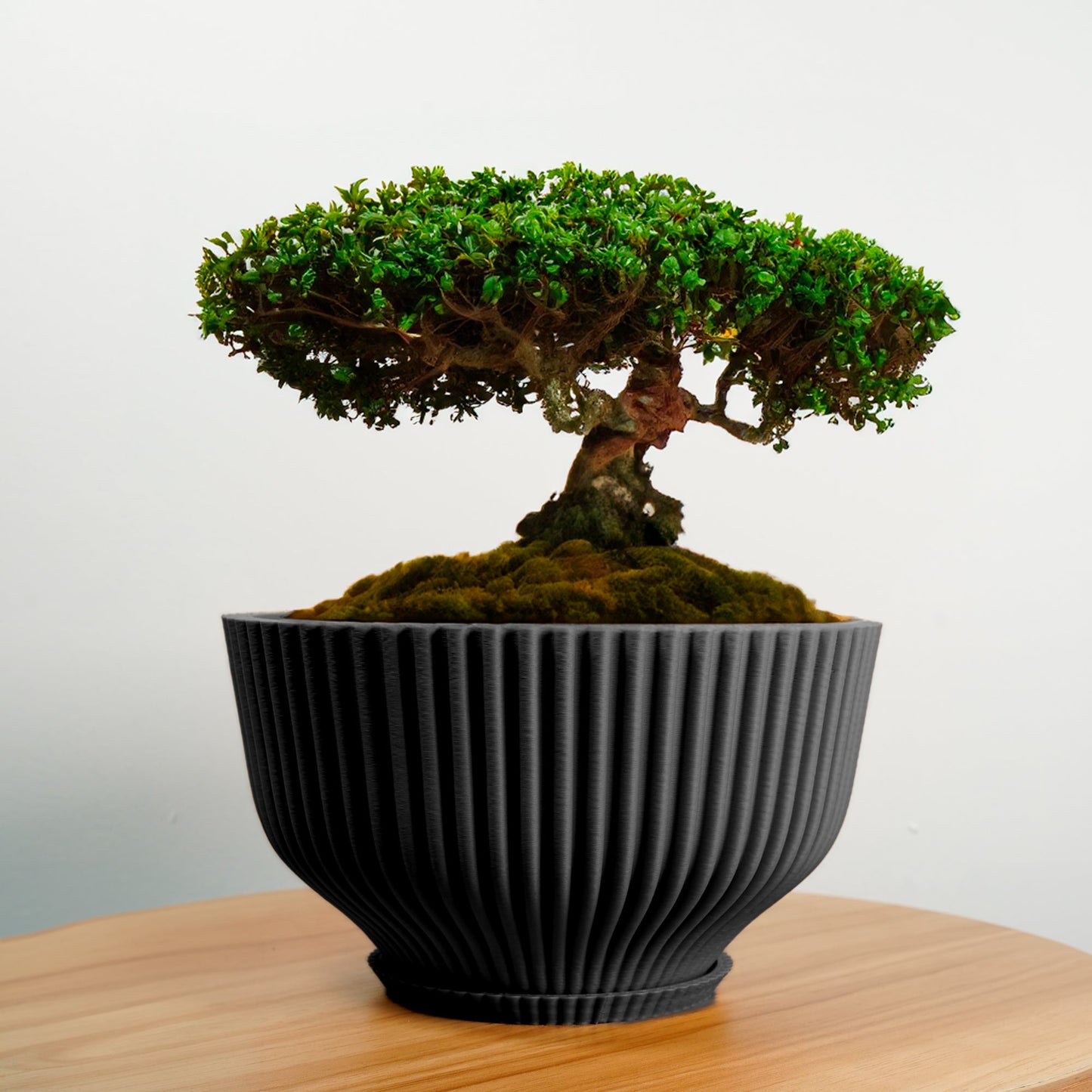 Bonsai Pot with Drainage & Tray