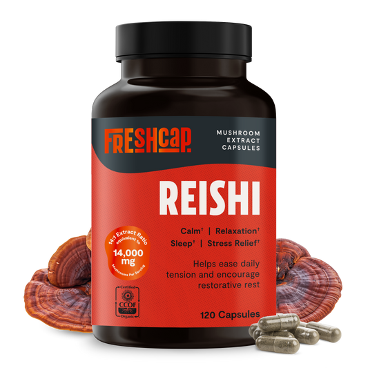 Reishi Mushroom Extract Capsules