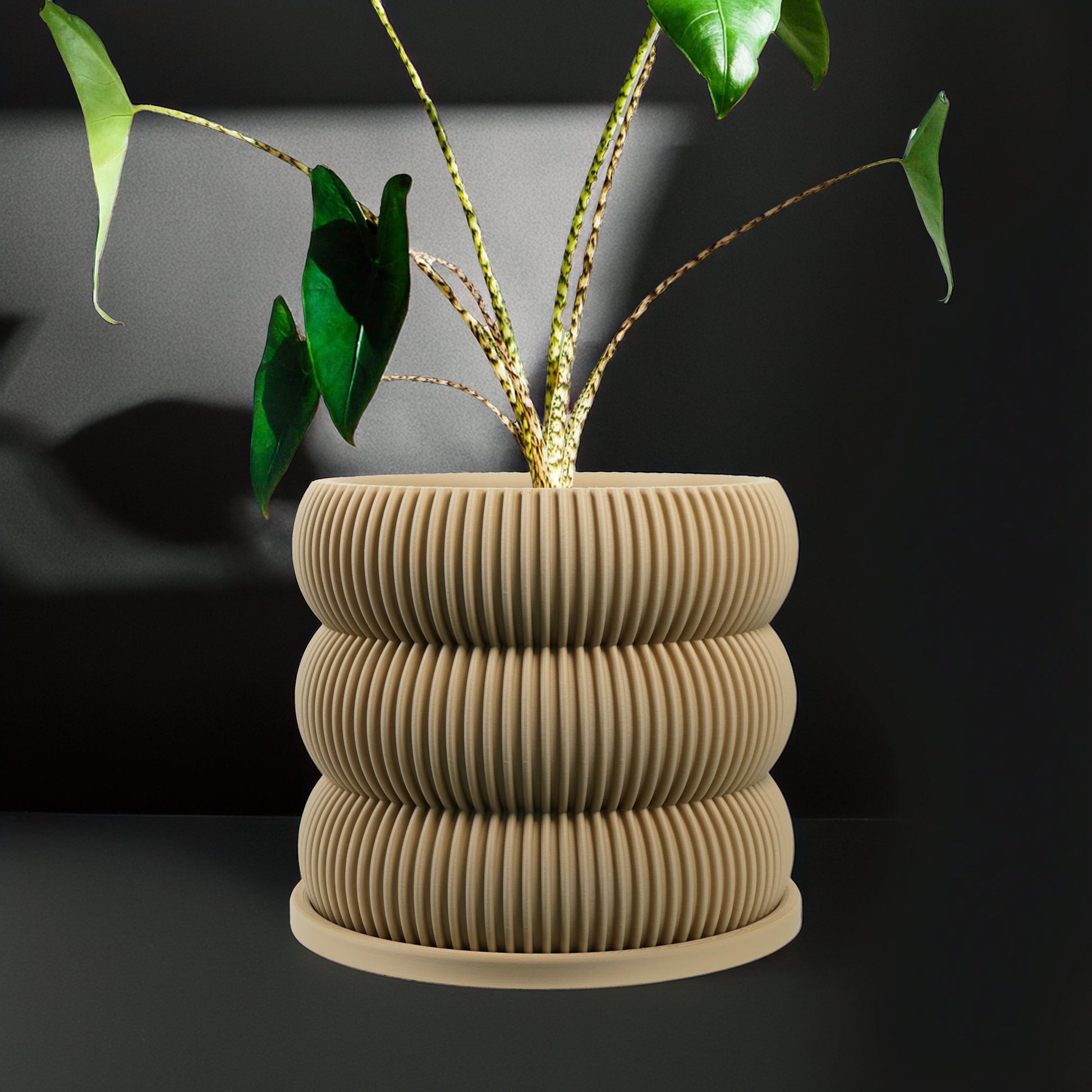 Ribbed Bubble Plant Pot With Drainage and Saucer Beige / 4 Inch - No Tray