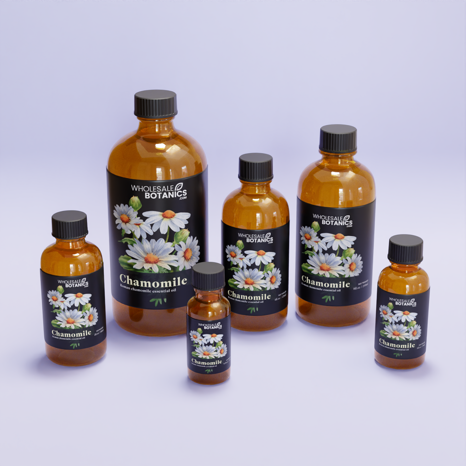 Roman Chamomile Essential Oil – Essential_Oil