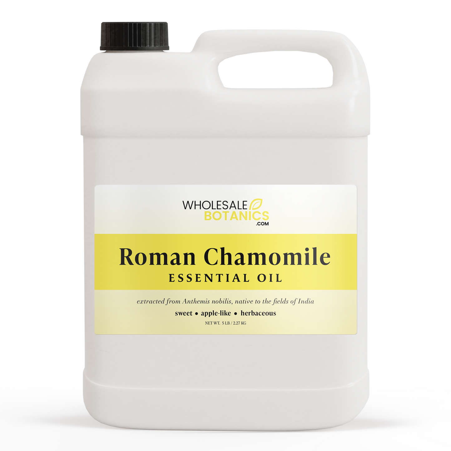 Roman Chamomile Essential Oil – 5 lb Essential_Oil