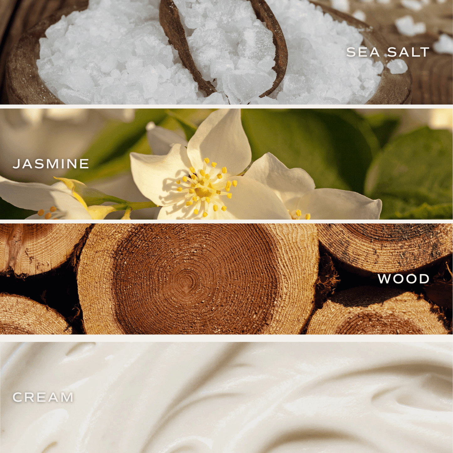 Spa Day Reed Diffuser - Sea Salt Jasmine Wood – Reed Diffusers