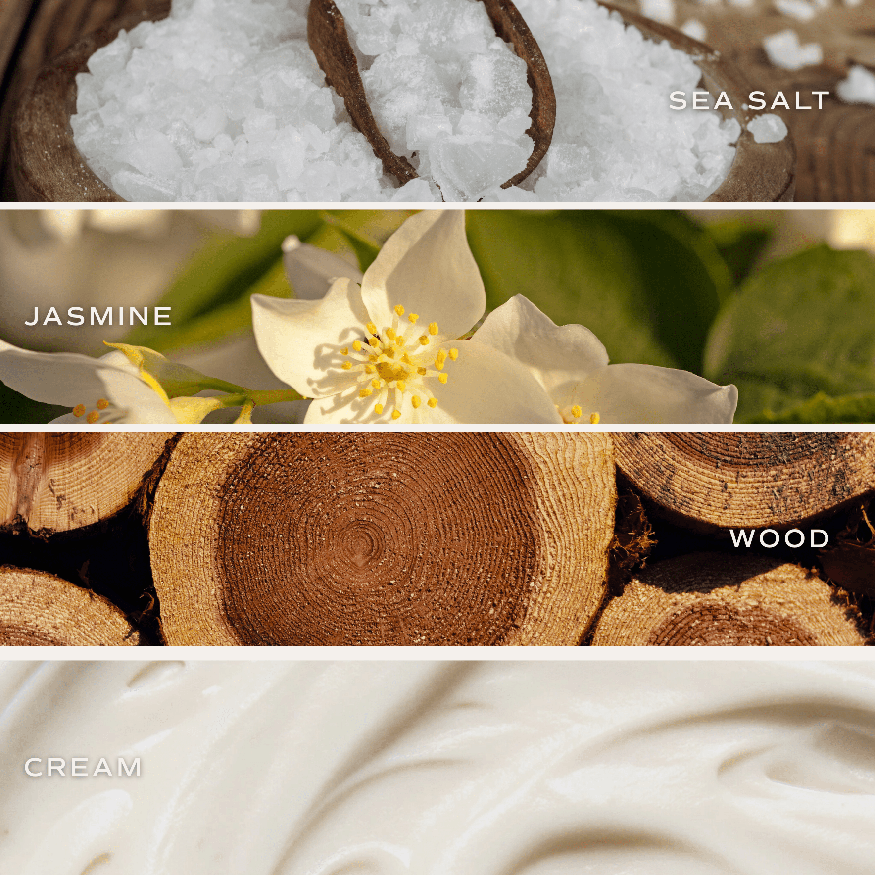 Spa Day Reed Diffuser - Sea Salt Jasmine Wood – Reed Diffusers