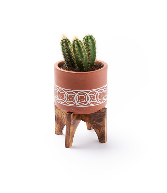 Daksha Terracotta Plant Pot with Wood Stand - large – Garden