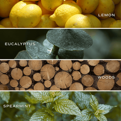 Stress Relief Reed Diffuser - Eucalyptus Lavender – Reed Diffusers